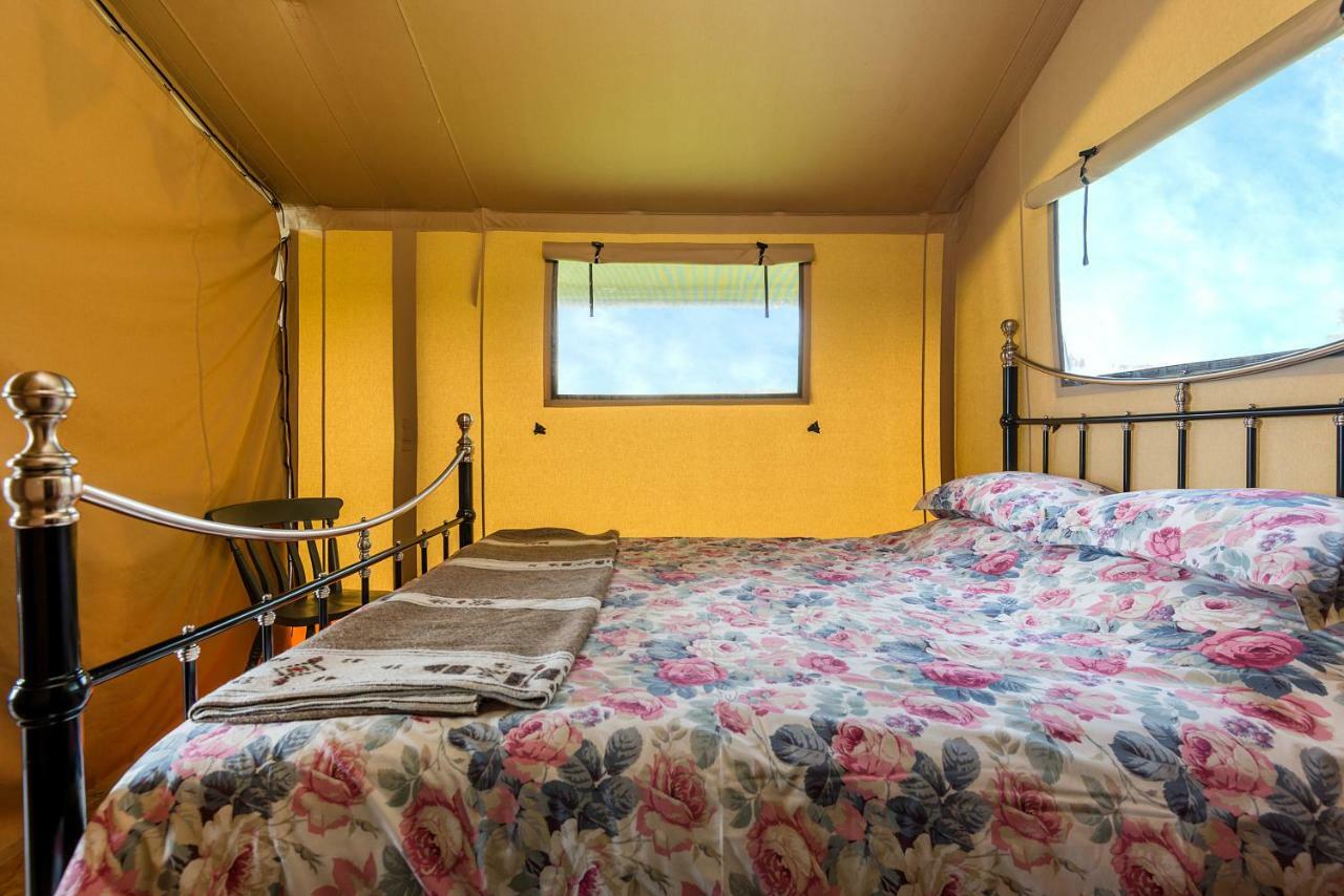 Kidwelly Glamping Hotell Exteriör bild